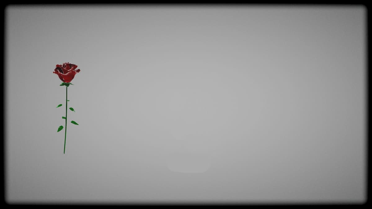 New Beauty (Profile Background)