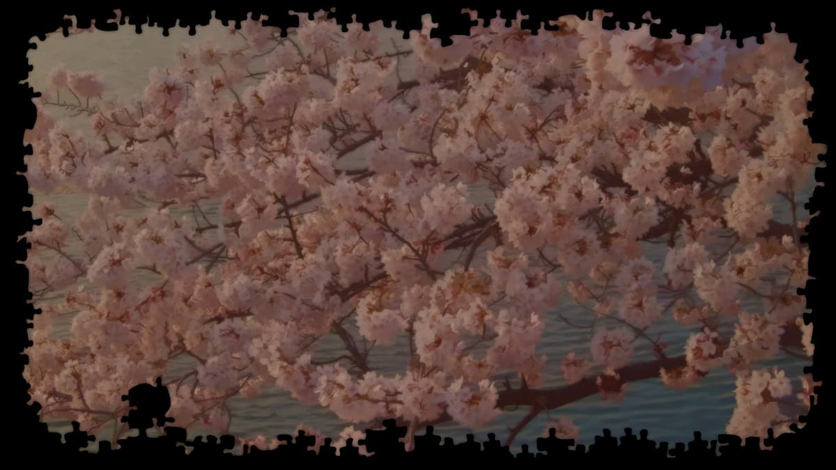 Cherry Blossoms Over Water